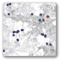 CARTOSIG-clerco-points.jpg